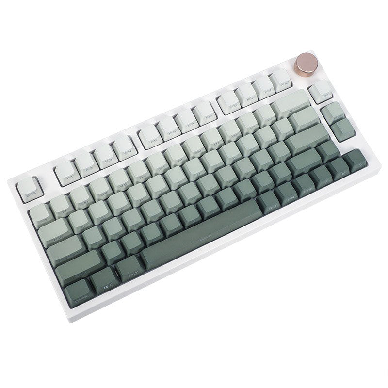 Keycaps Sa Gradient Seaweed Green Gradient Backlit PBT Keycaps | OEM